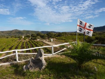 Sardinie - Agriturismo Su Solianu in Barisardo (2)